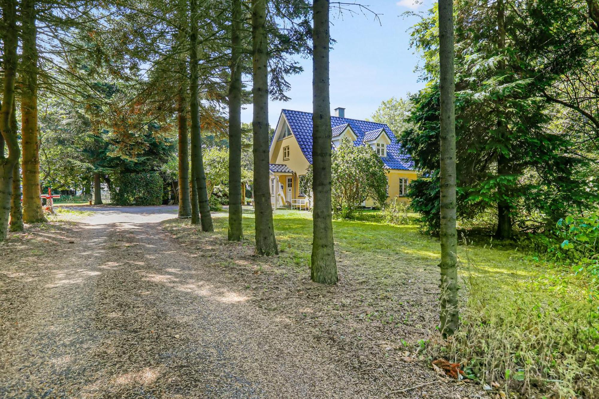 הדהוסנה Katja B&B Roskilde Tutti Frutti Home מראה חיצוני תמונה
