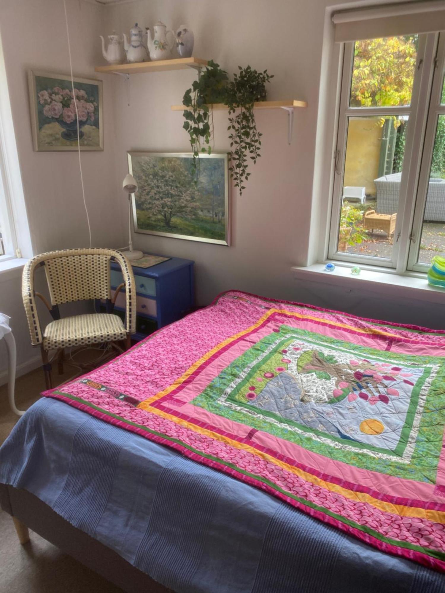 הדהוסנה Katja B&B Roskilde Tutti Frutti Home מראה חיצוני תמונה